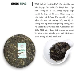 Trà phổ nhĩ ĐẠI ÍCH 7572/7542 150g hàng chính hãng 14 vn 11134207 820l4 mercaw3s9sea4c