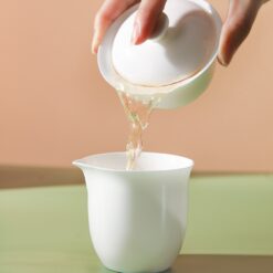 IMG 0556 2