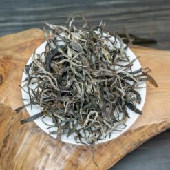 Bố Lãng Sơn Cổ Thụ | Phổ Nhĩ Sống 2023 9 IMG 3993