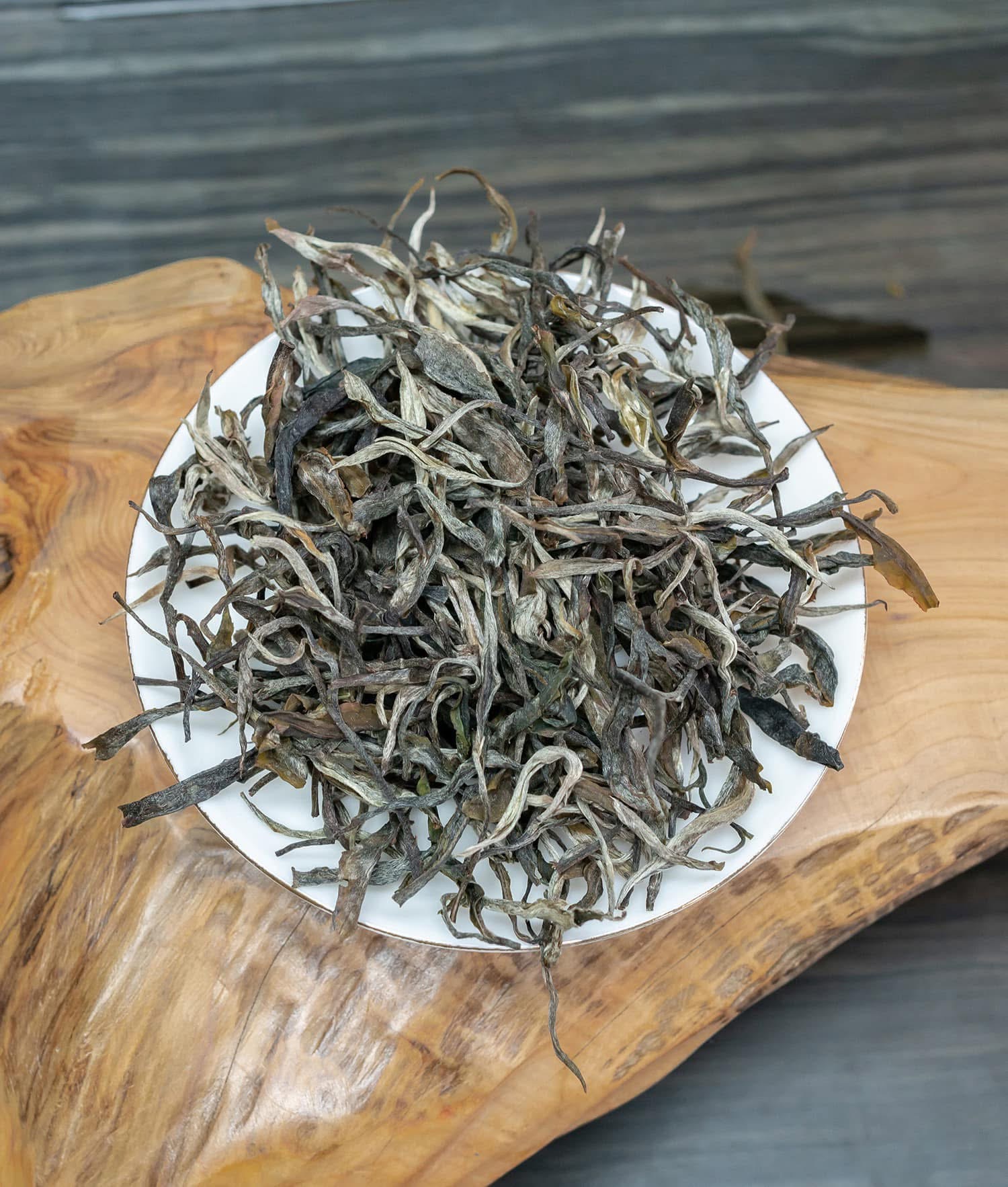 Bố Lãng Sơn Cổ Thụ | Phổ Nhĩ Sống 2023 3 IMG 3993