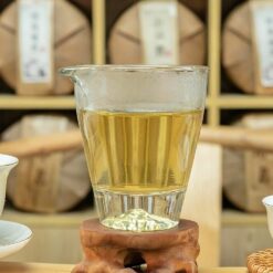 Bố Lãng Sơn Cổ Thụ | Phổ Nhĩ Sống 2023 12 IMG 3994