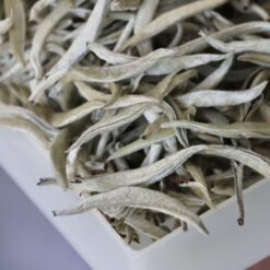 Bạch Hào Ngân Châm | Bạch Trà Cảnh Cốc 2025 11 IMG 4496
