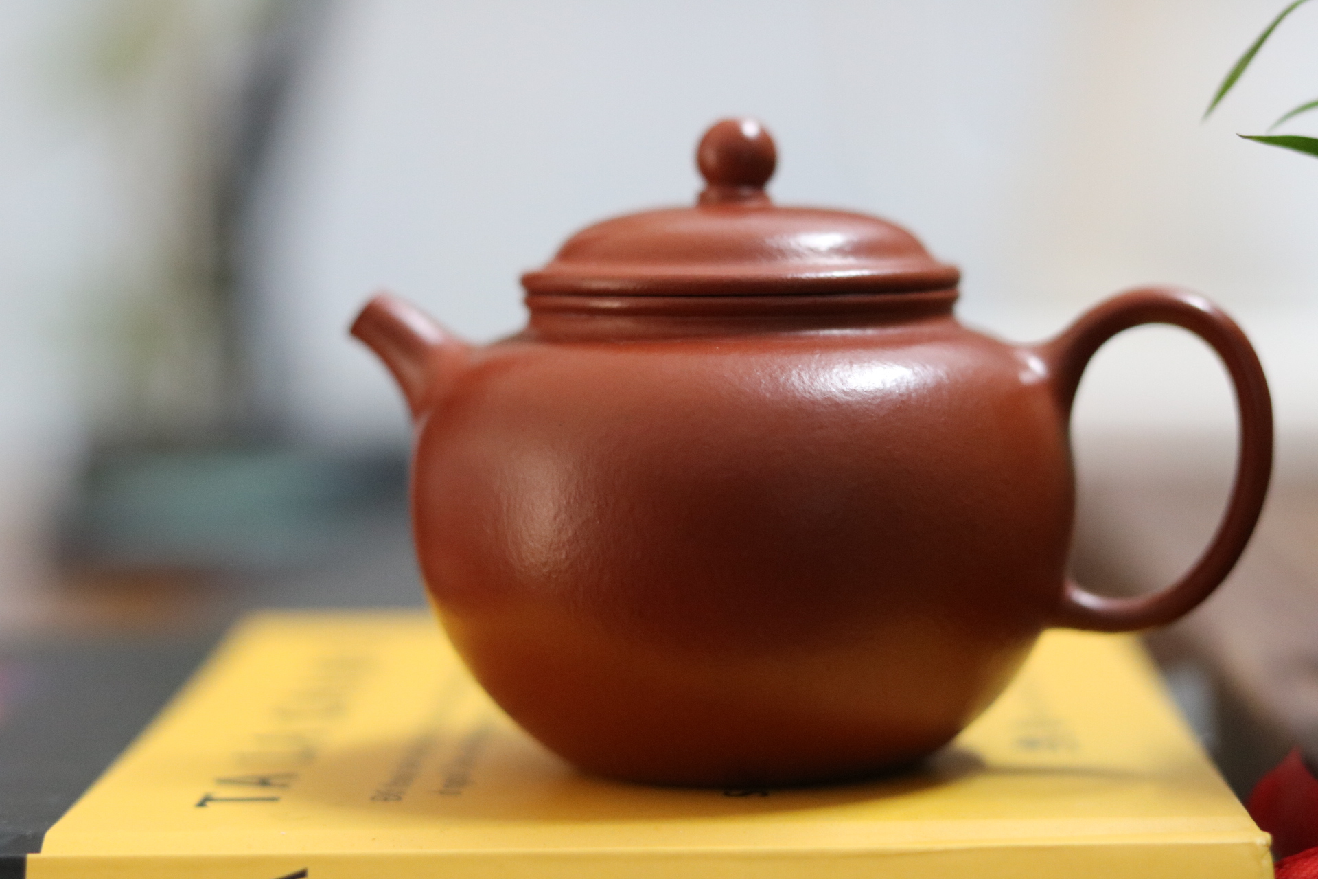 Ấm Chuyết Chỉ | Tiểu Môi Diêu Chu Nê 140ml | Toàn Thủ Công 3 IMG 5140
