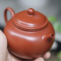 Ấm Chuyết Chỉ | Tiểu Môi Diêu Chu Nê 140ml | Toàn Thủ Công 13 IMG 5155