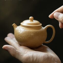 Ấm Chuyết Chỉ