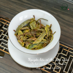 Bố Lãng Sơn Cổ Thụ | Phổ Nhĩ Sống 2023 13 Pho nhi chin Van Nam.zip 30