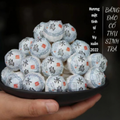 Trà phổ nhĩ Băng Đảo