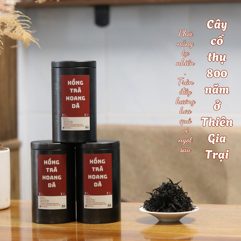 Thiên Gia Trại Đại Thụ 800 Năm | Hồng Trà Hoang Dã 1 Hồng trà cổ thụ