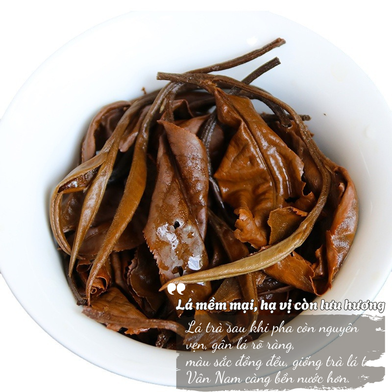 Nguyệt Quang Trà 357g | Bạch Trà Cổ Thụ 2022 4 TEA 7